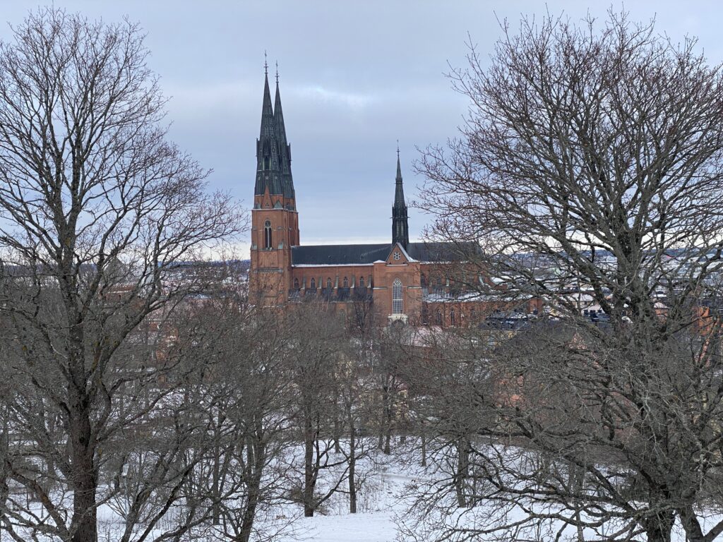 Domkirche Uppsala