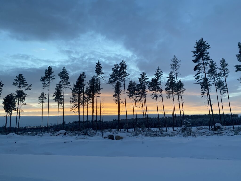 Winterlandschaft