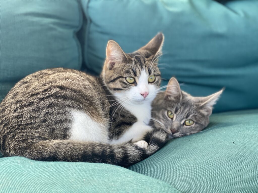 Maja und Paul